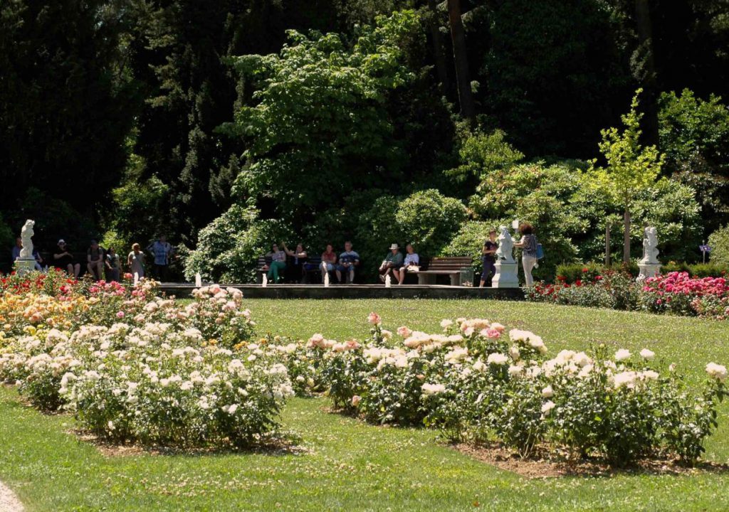 GartenImpressionen Gesellschaft der Freunde des Botanischen Gartens