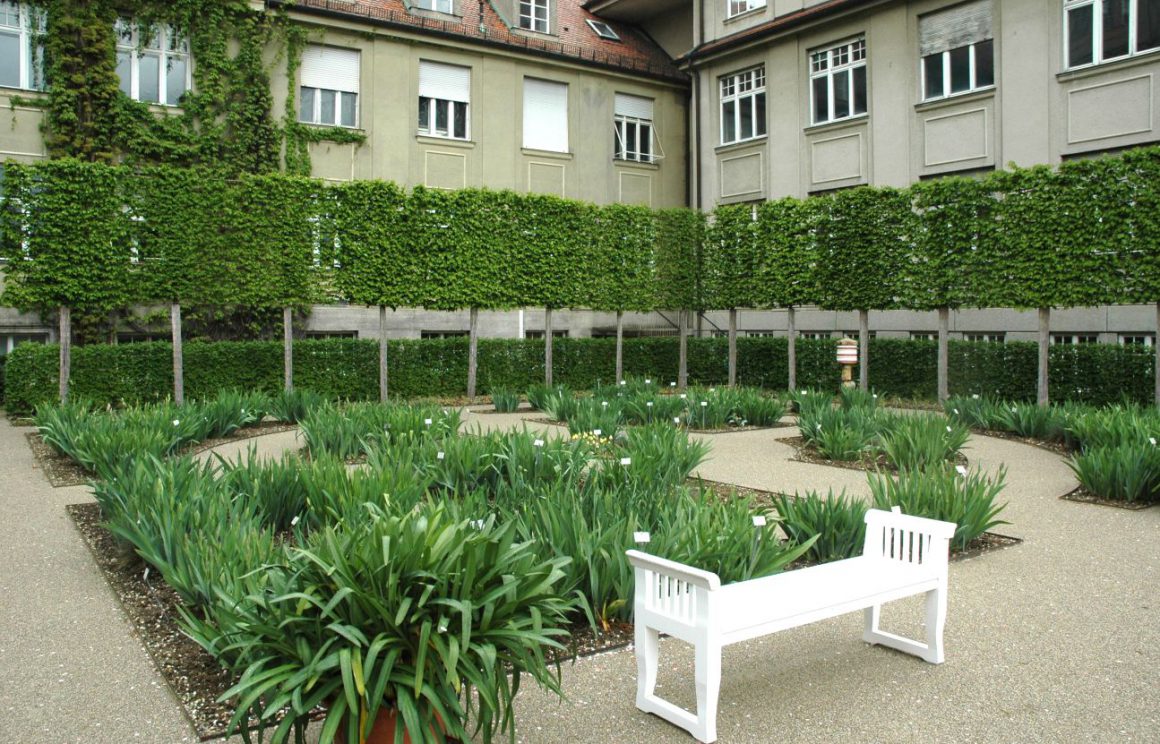 GartenImpressionen Gesellschaft der Freunde des Botanischen Gartens