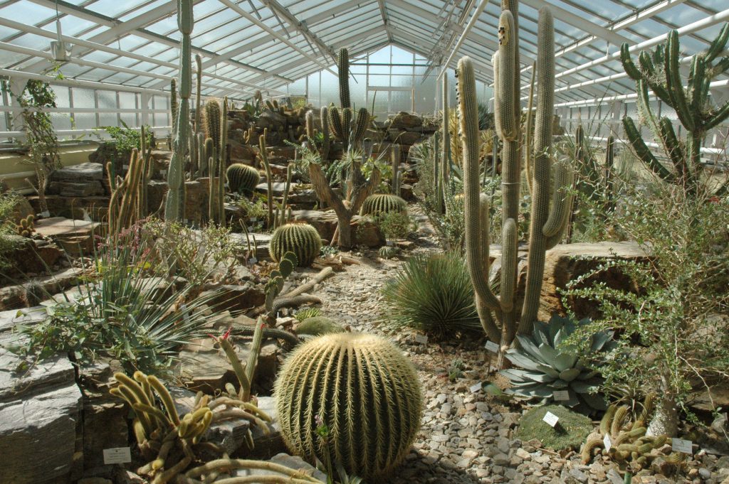 Mexiko Haus